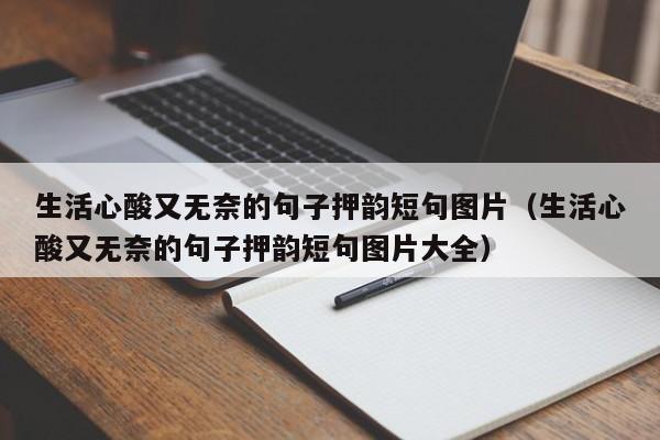 生活心酸又无奈的句子押韵短句图片（生活心酸又无奈的句子押韵短句图片大全）