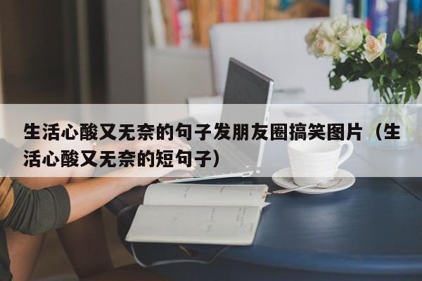 生活心酸又无奈的句子发朋友圈搞笑图片（生活心酸又无奈的短句子）