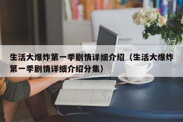 生活大爆炸第一季剧情详细介绍（生活大爆炸第一季剧情详细介绍分集）